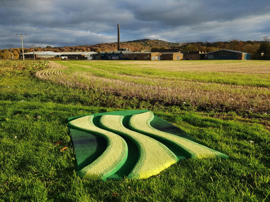 Hand Tufted Crop Pure Wool Sculpted Carved Shaped Rug